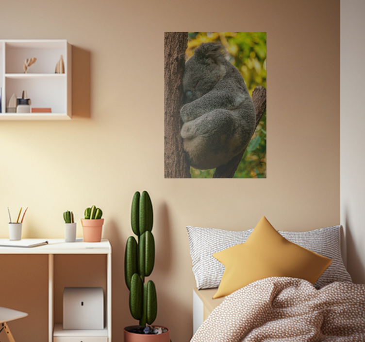 Poster camera ragazzi koala che dorme - TenStickers