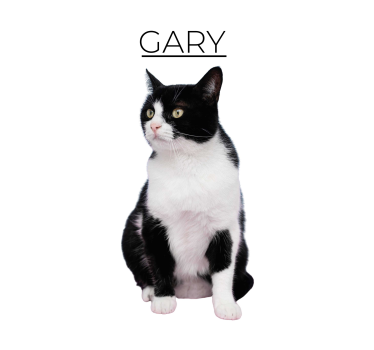 Poster animali minimalista personalizzato - TenStickers