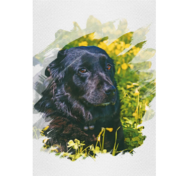 Poster animali acquerello personalizzato - TenStickers