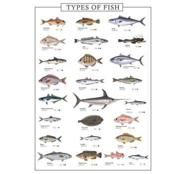 Quadro con i vari tipi di pesce - TenStickers