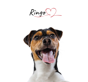 Poster con cane e nome personalizzabile - TenStickers