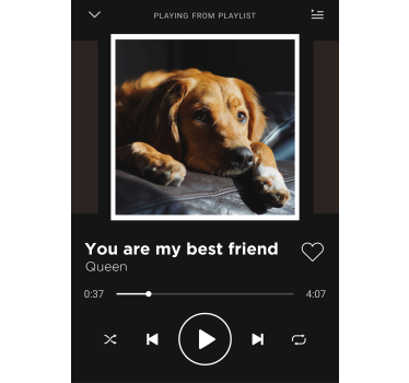 Poster con canzone ed immagine personalizzabile - TenStickers