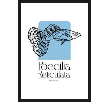 Poster di fauna marina pesce Guppy - TenStickers