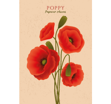 Poster a tema floreale papaveri - TenStickers