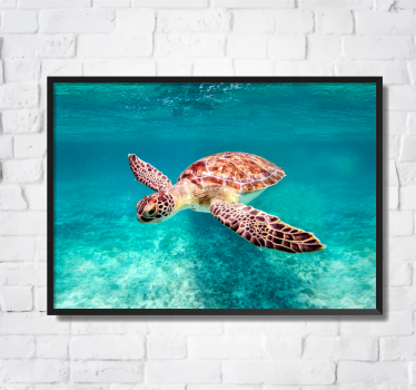 Poster animali tartaruga marina - TenStickers