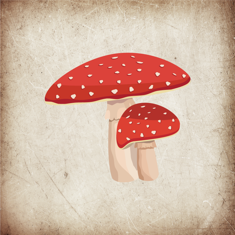 Poster da cucina illustrazione fungo amanita - TenStickers