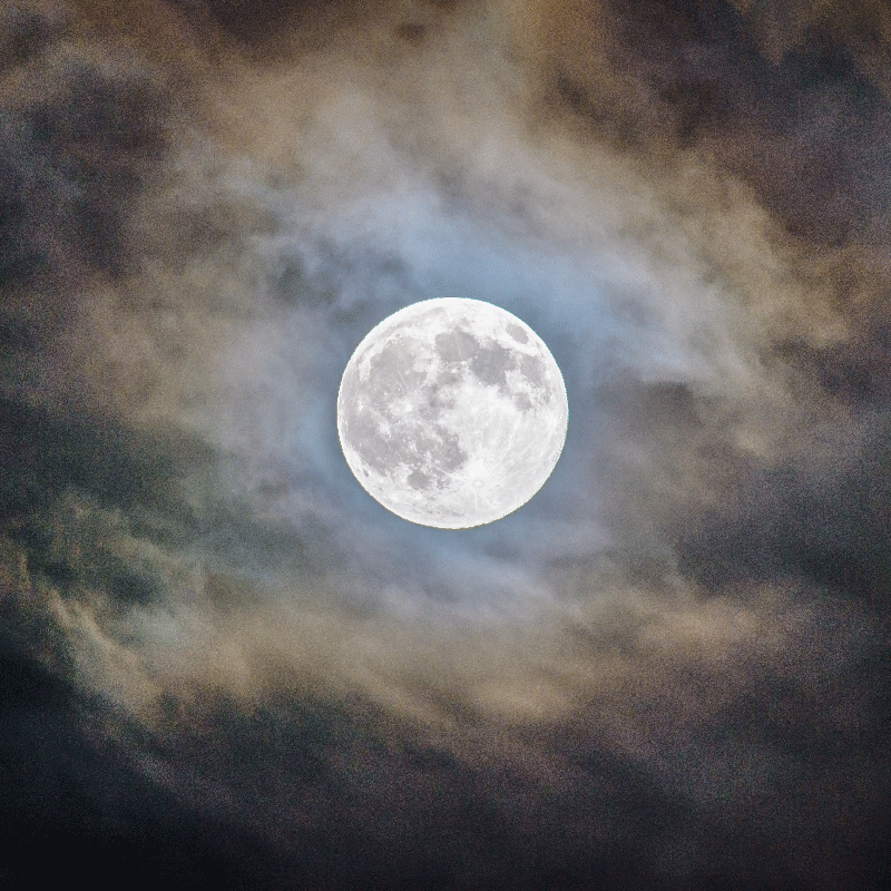 Poster salotto notte di luna piena - TenStickers