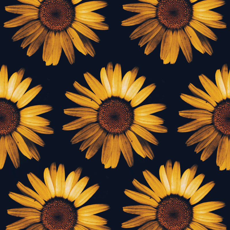 Poster salotto girasole giallo - TenStickers