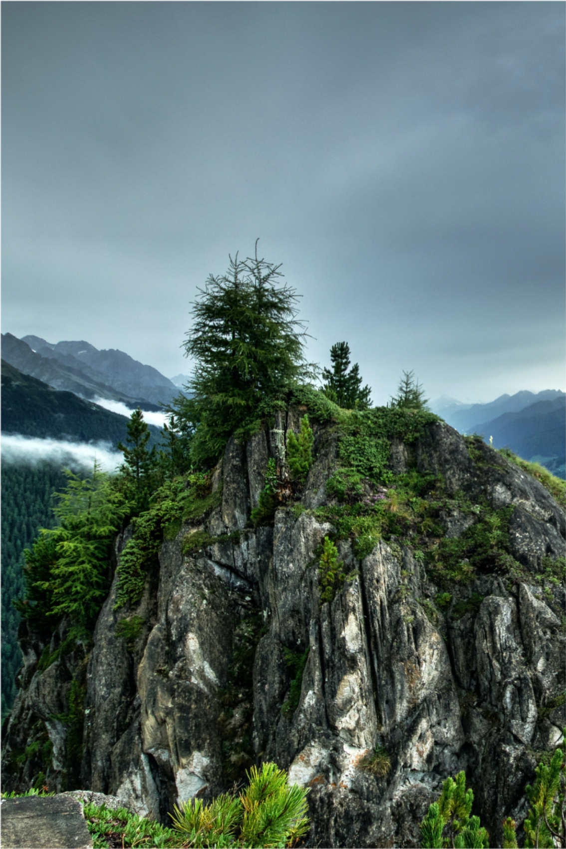 Poster salotto pietra solitaria nella foresta verde - TenStickers