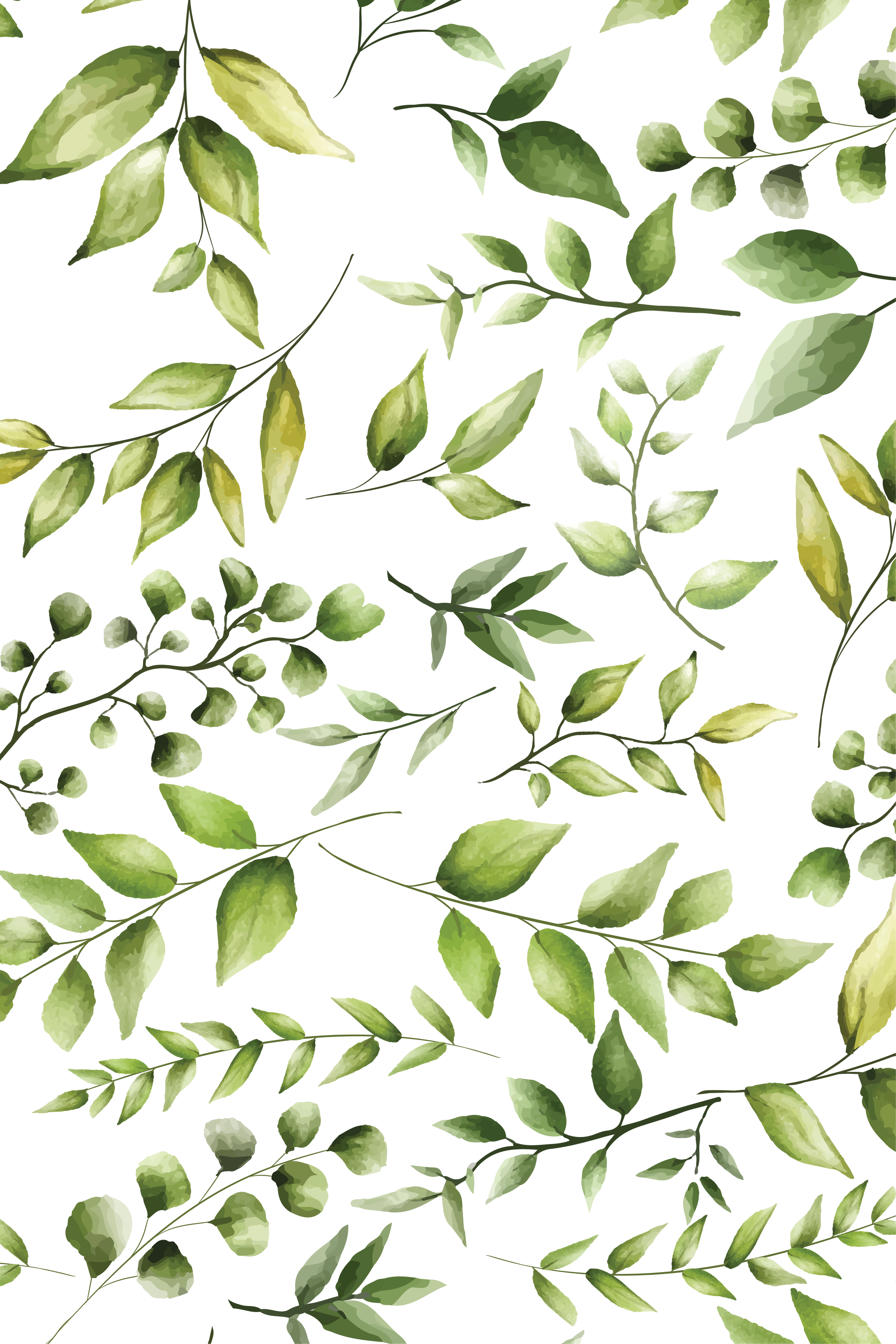 Poster piante foglie di eucalipto acquerello - TenStickers