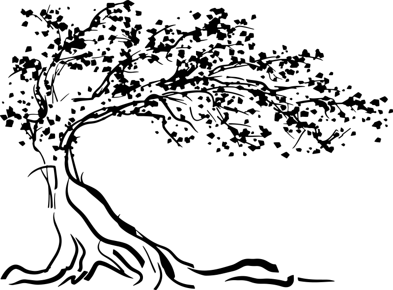 Poster albero vinile decorativo con vento - TenStickers