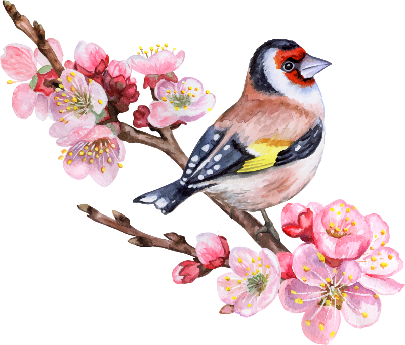 Poster albero rami primaverili con uccelli - TenStickers