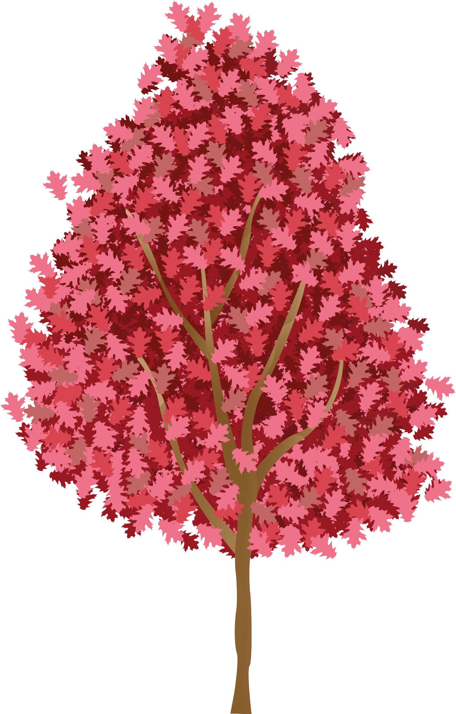 Poster albero con fiori rosa - TenStickers