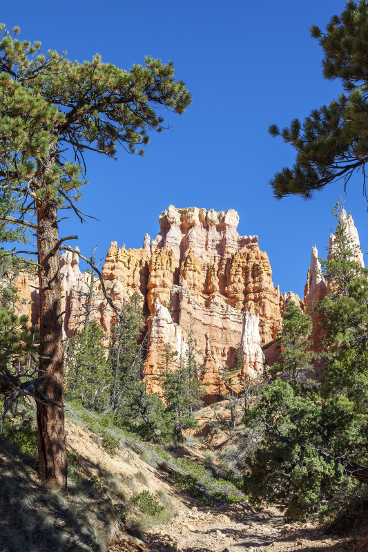 Poster di paesaggio canyon di bryce - TenStickers