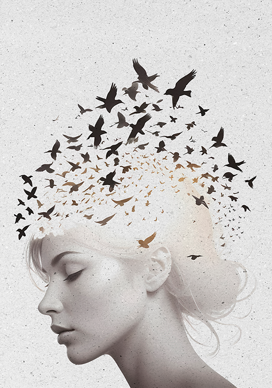 Poster astratti uccelli nella testa - TenStickers