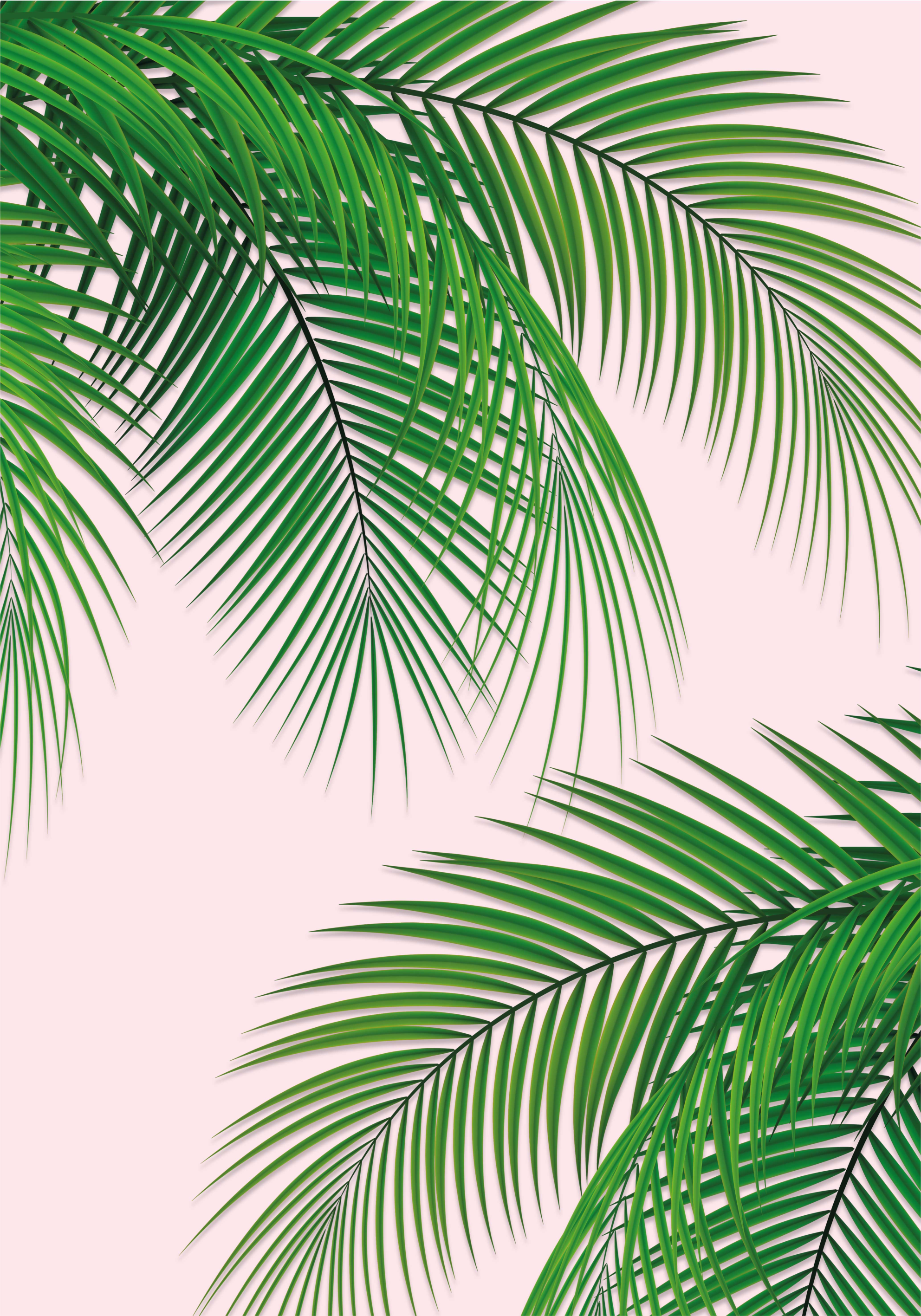 Poster albero foglia tropicale - TenStickers