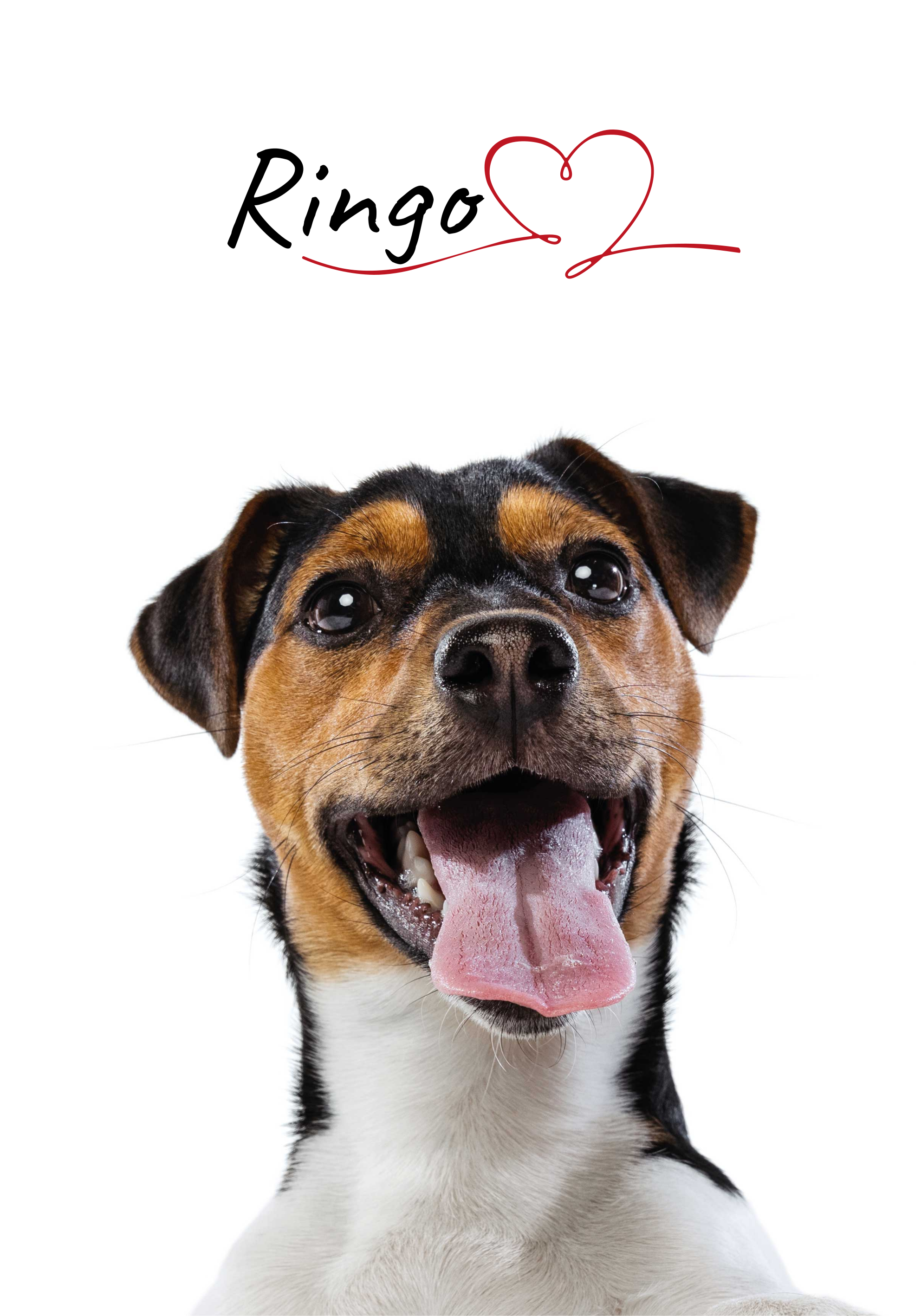 Poster con cane e nome personalizzabile - TenStickers