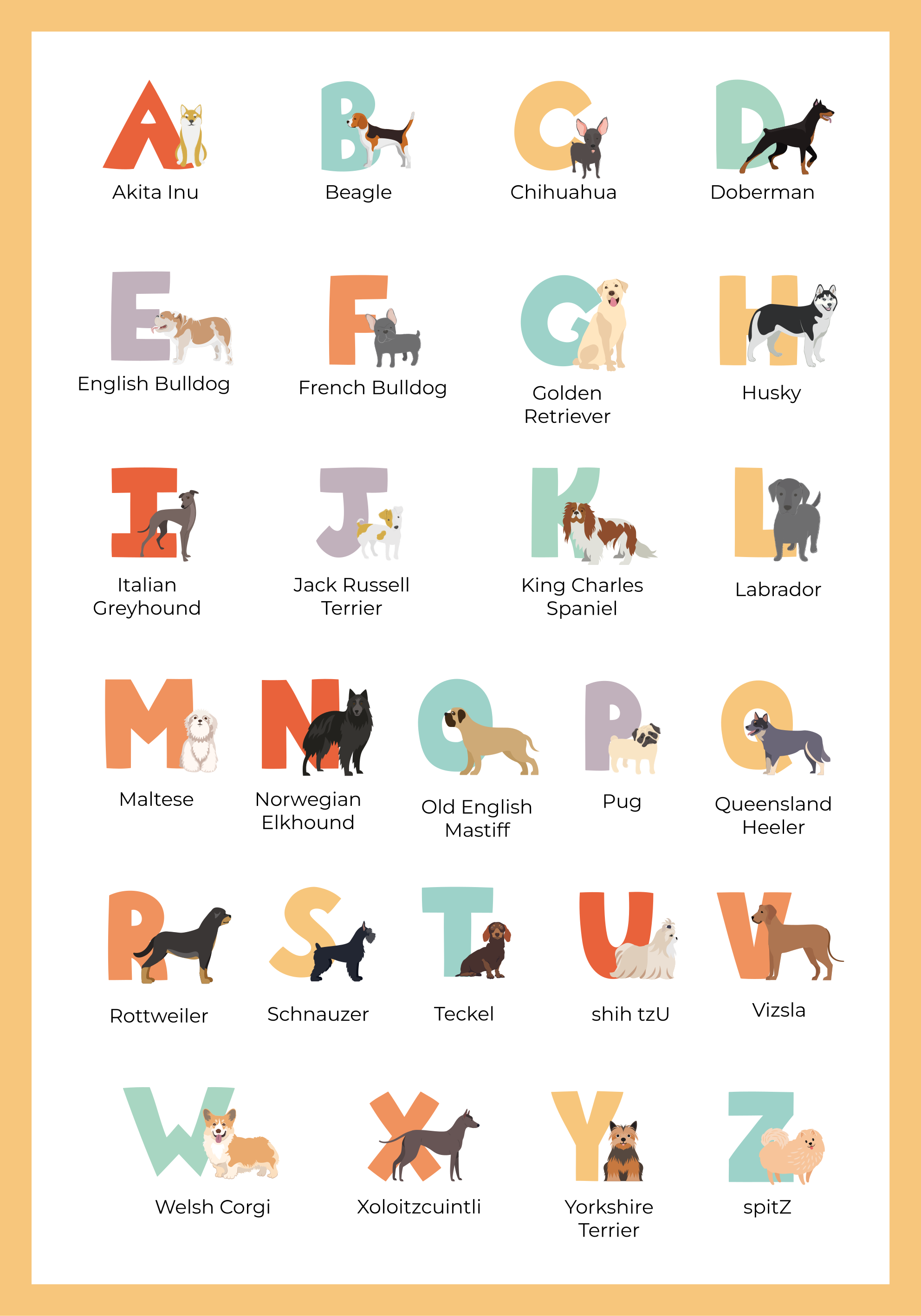 Poster bambini alfabeto con cani - TenStickers