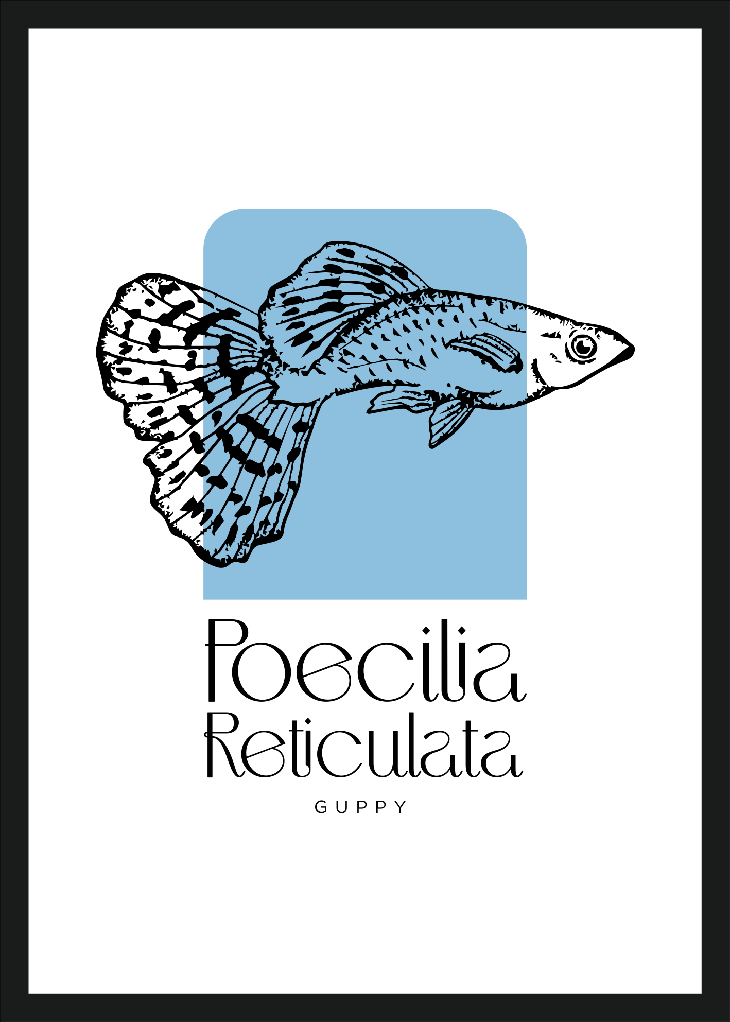 Poster di fauna marina pesce Guppy - TenStickers