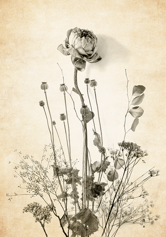 Poster a tema mazzo di fiori su fondo beige - TenStickers