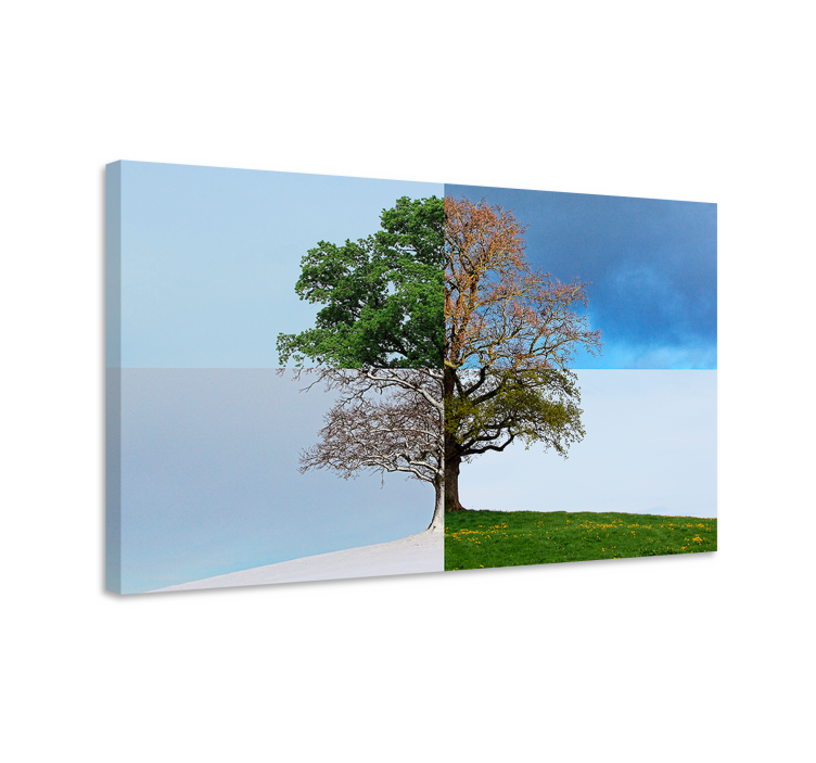 Quadro con alberi contrasto degli alberi stagionali - TenStickers