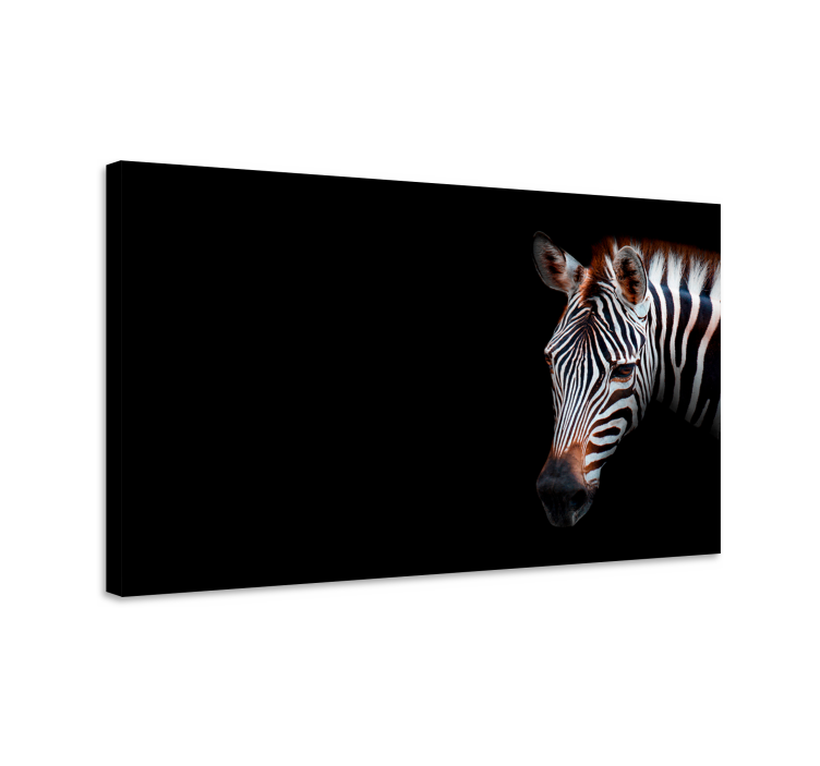 Quadro con animali e insetti zebra in primo piano - TenStickers