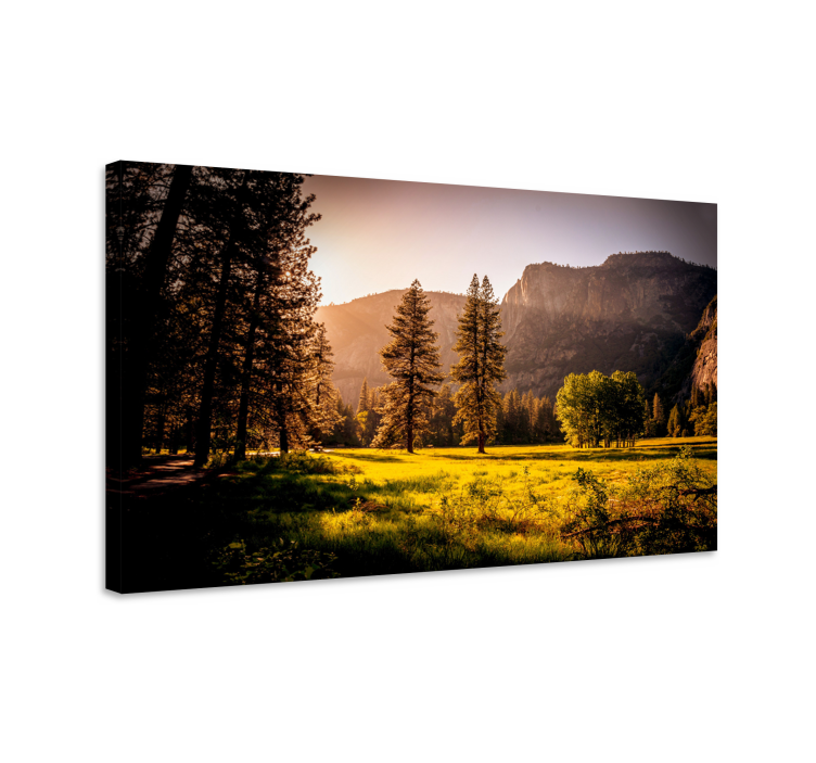 Quadro paesaggio foresta dorata illuminata dal sole - TenStickers