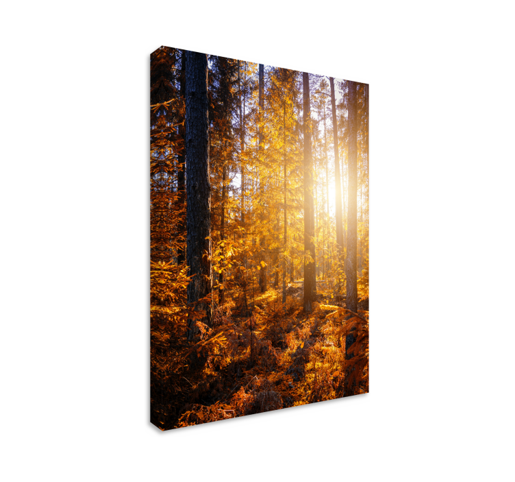 Quadro di paesaggio Alberi sole della foresta - TenStickers