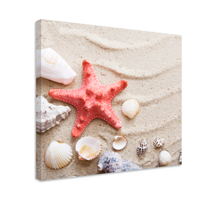 Quadro con animali e insetti Stelle marine  - TenStickers
