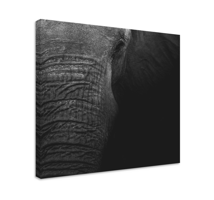 Quadro con elefanti ritratto di elefante maestoso - TenStickers