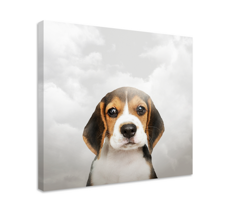 Dipinto cane ritratto di beagle - TenStickers