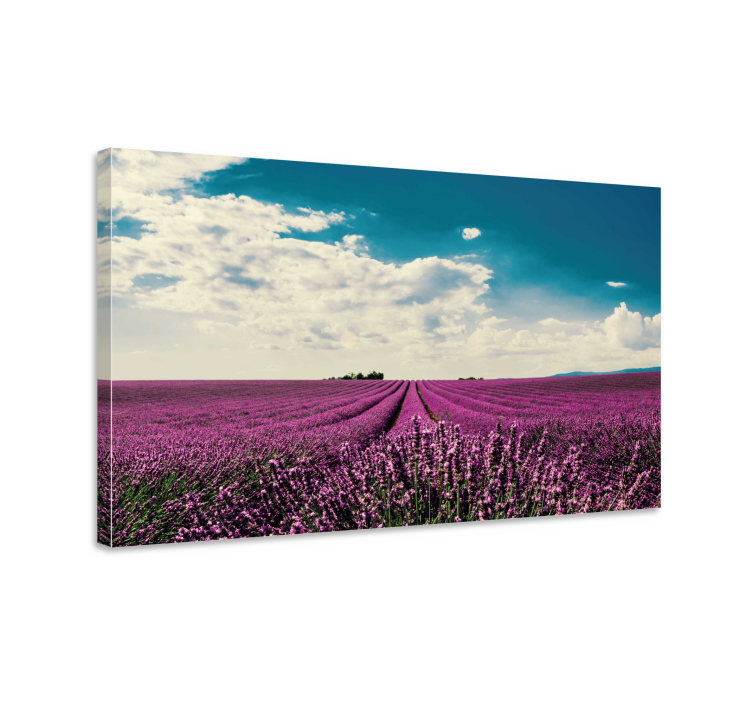 Dipinto fiori e piante paesaggio di lavanda - TenStickers