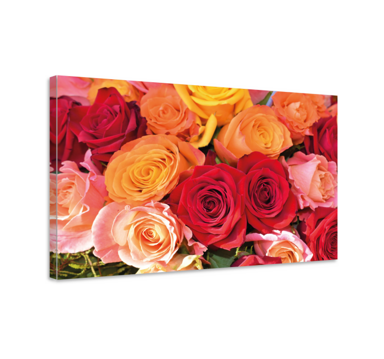Quadro con fiori rose rosse e rosa arancio - TenStickers
