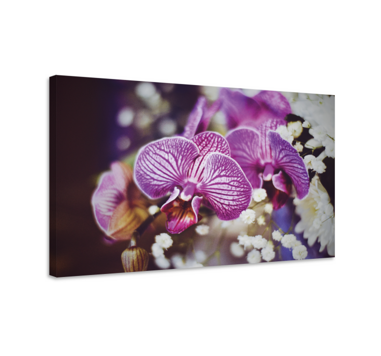 Dipinto fiori e piante dettagli di fior di orchidea - TenStickers