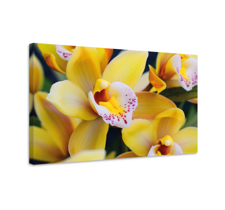 Dipinto fiori e piante fiori di orchidea vibranti - TenStickers