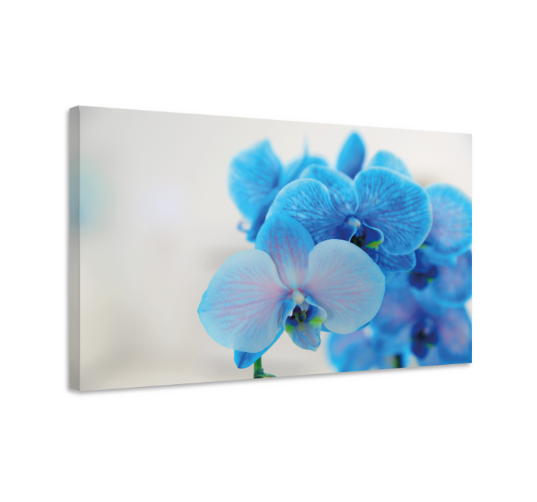 Dipinto fiori e piante fioritura di orchidee blu - TenStickers