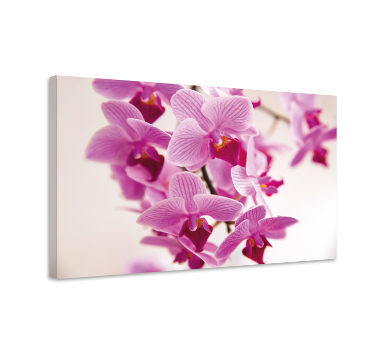 Dipinto fiori e piante fiori di orchidea delicati - TenStickers