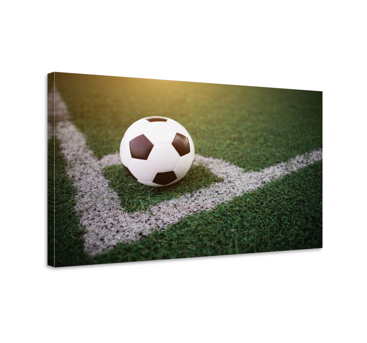 Quadro per ragazzi Bel calcio sull'erba - TenStickers