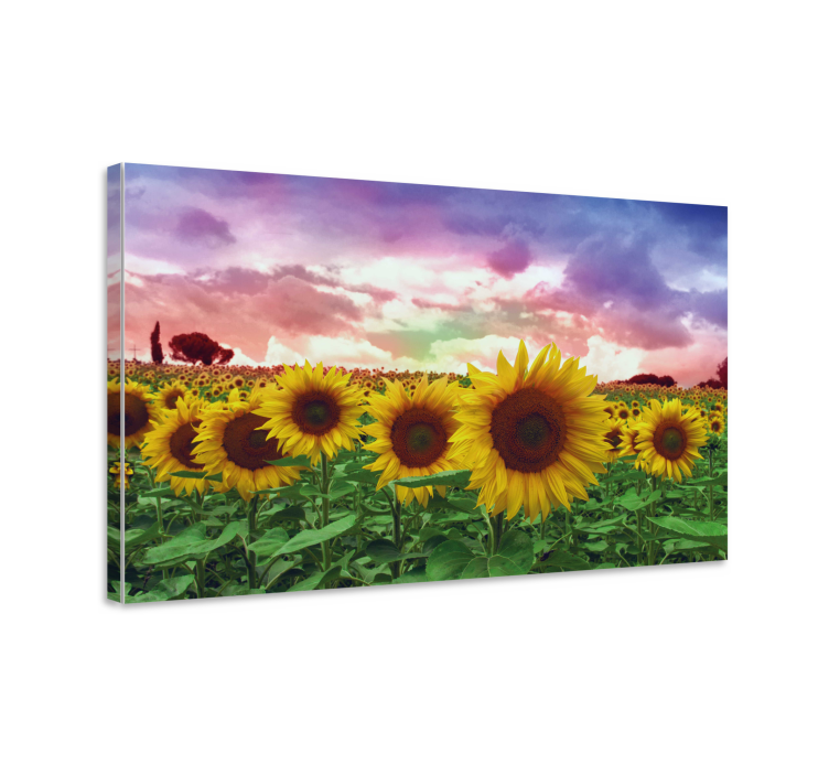 Dipinto fiori e piante campo di girasoli vibrante - TenStickers