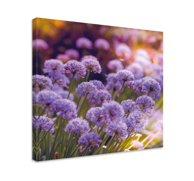 Dipinto fiori e piante fioriture viola vivaci - TenStickers