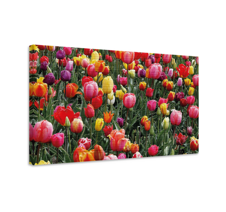 Dipinto fiori e piante fioriture di tulipani colorati - TenStickers