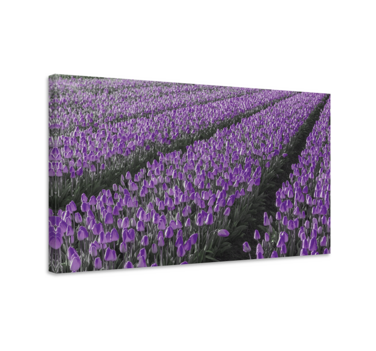 Dipinto fiori e piante campo di tulipani viola - TenStickers