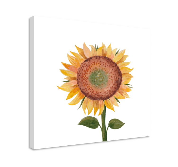 Dipinto fiori e piante illustrazione di girasole - TenStickers