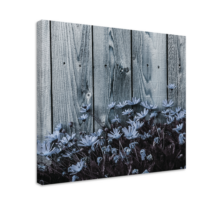 Quadro con fiori Fiore margherita su tavola di legno grigio - TenStickers