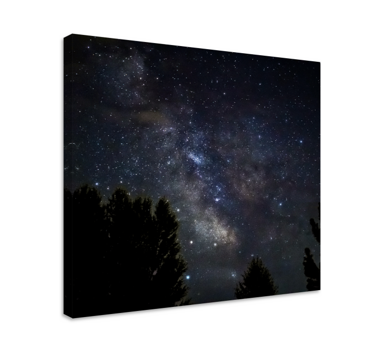 Quadro paesaggio notte celestiale - TenStickers