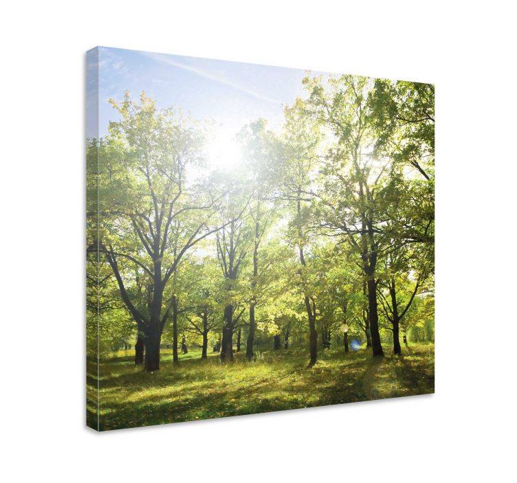 Quadro con alberi cappa verde illuminata - TenStickers