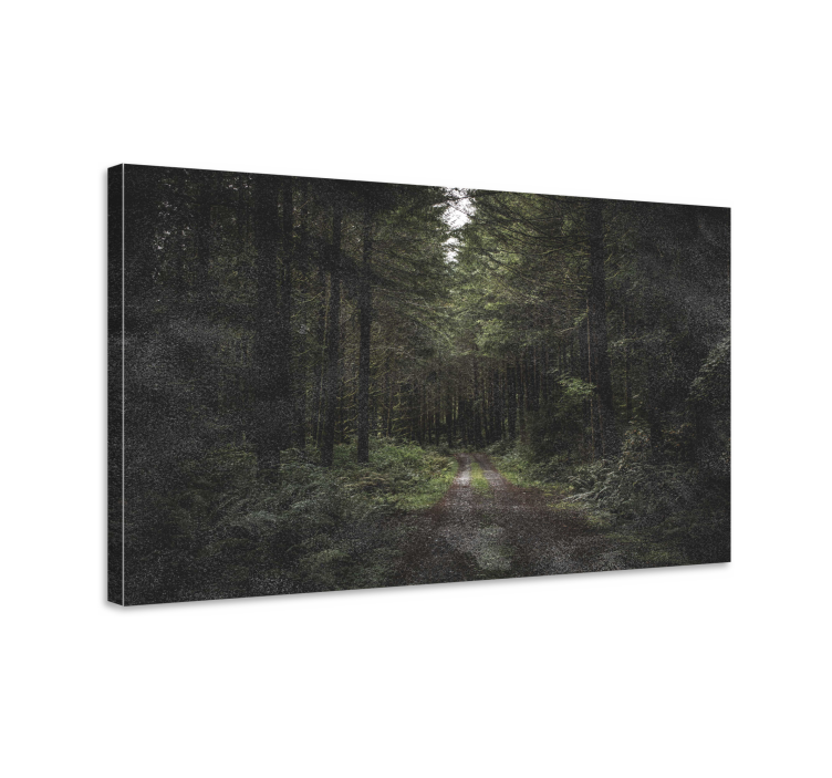Quadro paesaggio sentiero nella foresta sereno - TenStickers