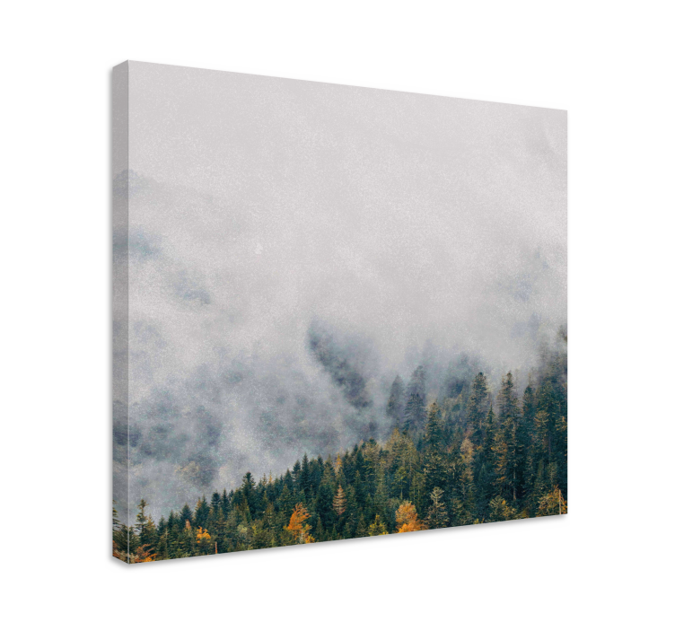 Quadro con alberi paesaggio forestale nebbioso - TenStickers