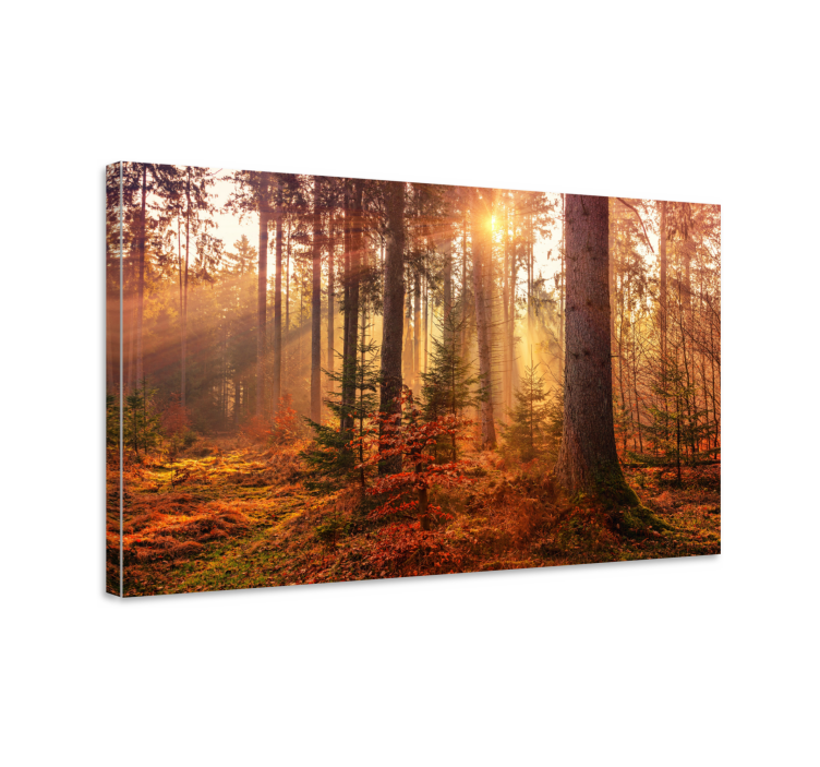 Quadro con alberi serenità della foresta - TenStickers