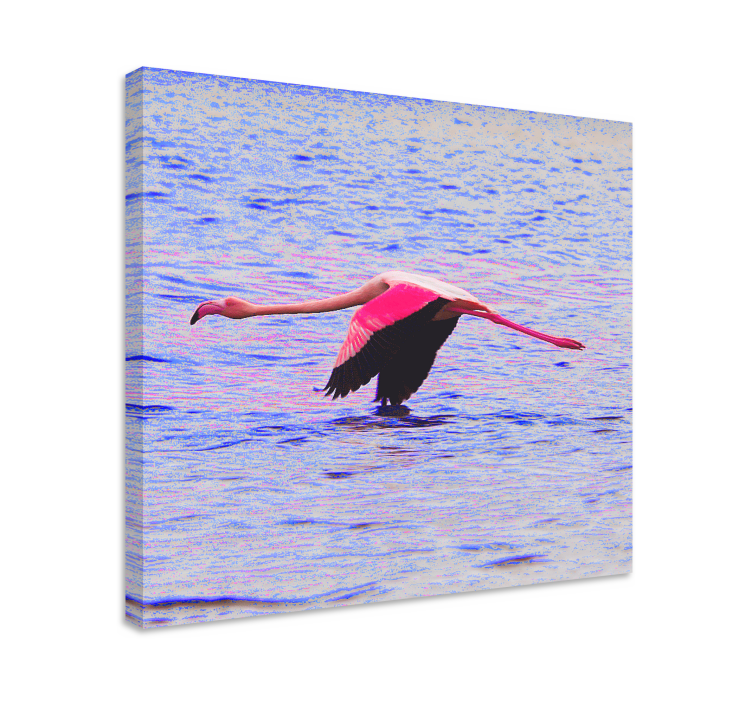 Quadro pesci fenicottero in volo - TenStickers